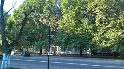 Прикрепленное изображение: WP_20170808_07_39_11_Pro.jpg